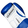 TITLE Classic Pro Style Training Boxing Gloves 3.0