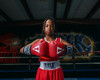 TITLE Classic USA Boxing Competition Boxing Gloves - Elastic