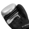 TITLE Platinum Proclaim Training Boxing Gloves