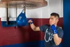 TITLE Boxing Super Speed Bags