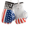 TITLE Boxing 3.5” Mini Boxing Gloves