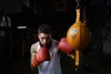 TITLE Boxing Double End Bag