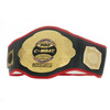 PRO COMBAT USA TOP OF THE WORLD CHAMPIONSHIP BELT