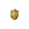 Ringside Gold Shield Boxing Medal