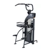 SportsArt DF307 Performance Dual Function Chin-Up/Tricep Dip