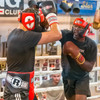 Ringside Pro Style IMF Tech™  Training Gloves
