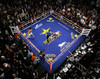 Professional Boxing Ring Regulation Size FIGHT NIGHT Approved 