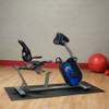 Body Solid B4R Recumbent Bike