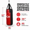 Ringside Youth 40 lb. Heavy Bag Kit