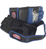 Combat Sports Pro Style MMA Gloves