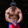 Combat Sports Pro Style MMA Gloves