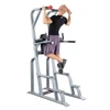 Body Solid Pro Clubline Vertical Knee Raise