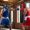 Ringside NEW Reversible Competition Outfit