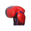 Ringside Omega Sparring Gloves