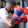 Ringside Omega Sparring Gloves