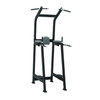TKO SS Dip/Chin/Leg Raise