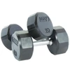 Troy Premium TSDR Rubber Encased Dumbbell Pairs 3 - 100 lbs