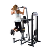 Body Solid ProSelect Weight Assist VKR/Dip and Chin Station