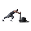Fitness 1st Power Dog Sled