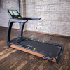 SportsArt Satus Senza T676 Treadmill - 19"