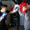 Ringside Apex Punch Mitts