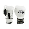Cleto Reyes Hook & Loop Training Gloves