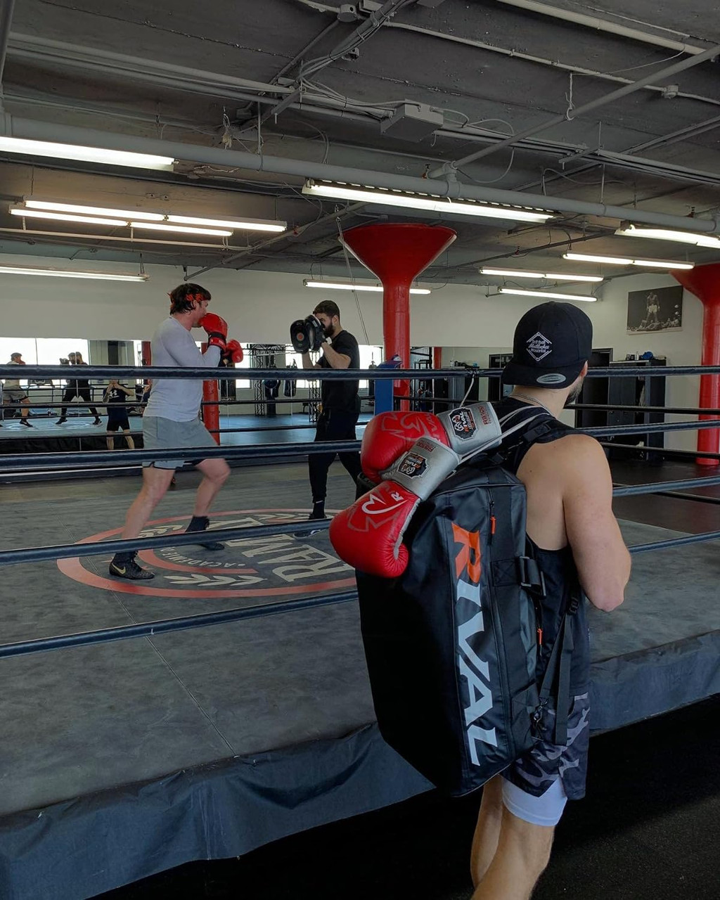 Rival RS100 Red/Silver Professional Sparring Gloves