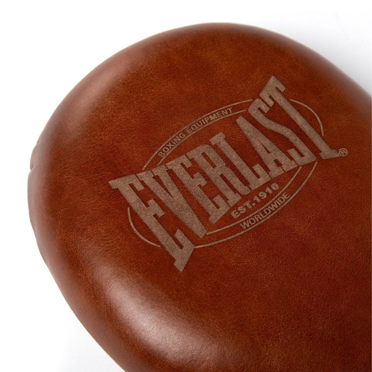 Everlast 1910 Striking Paddles