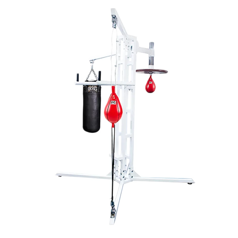 G500 - Cleto Reyes Home Gym Equipped
