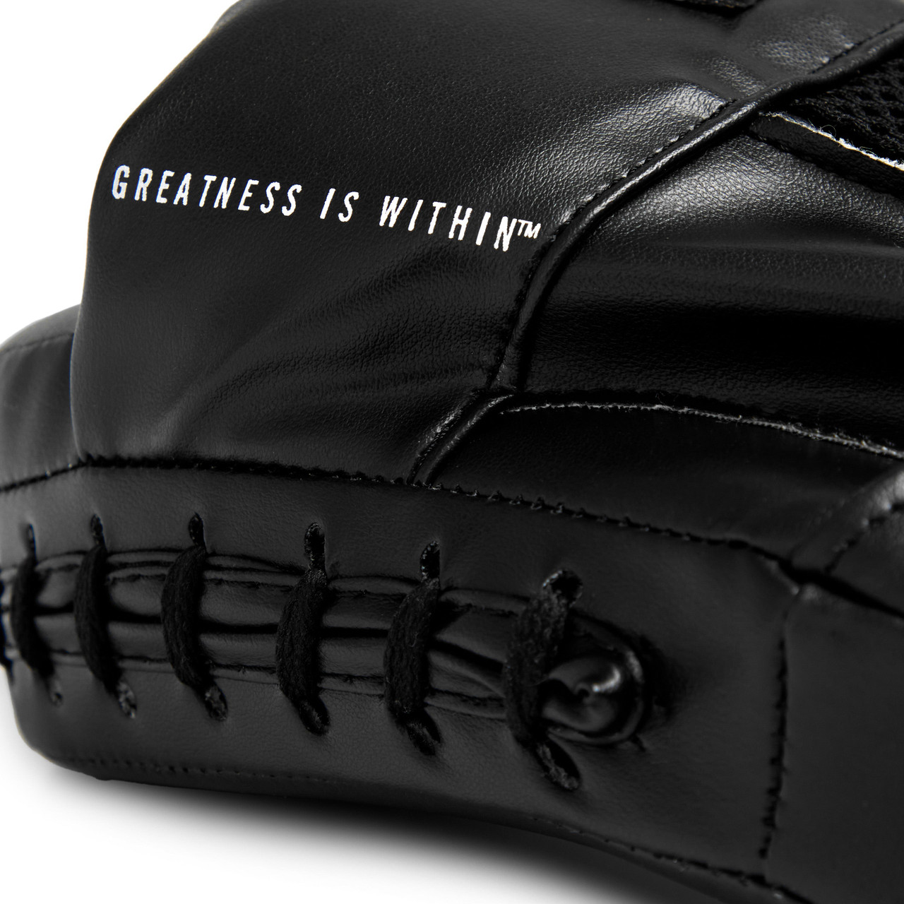 Everlast Classic Focus Mitts