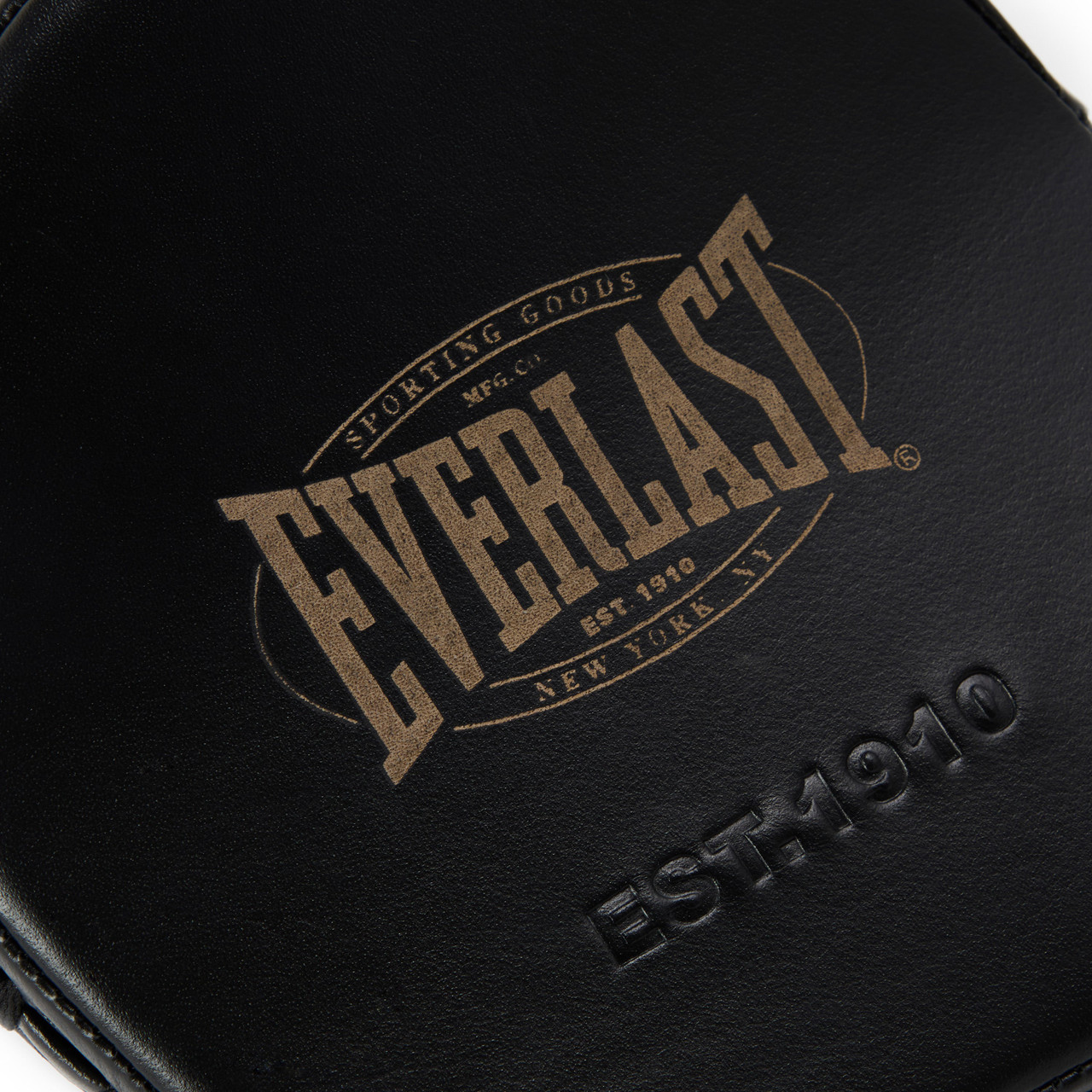 Everlast 1910 Pro Leather Mini Focus Mitts - Black