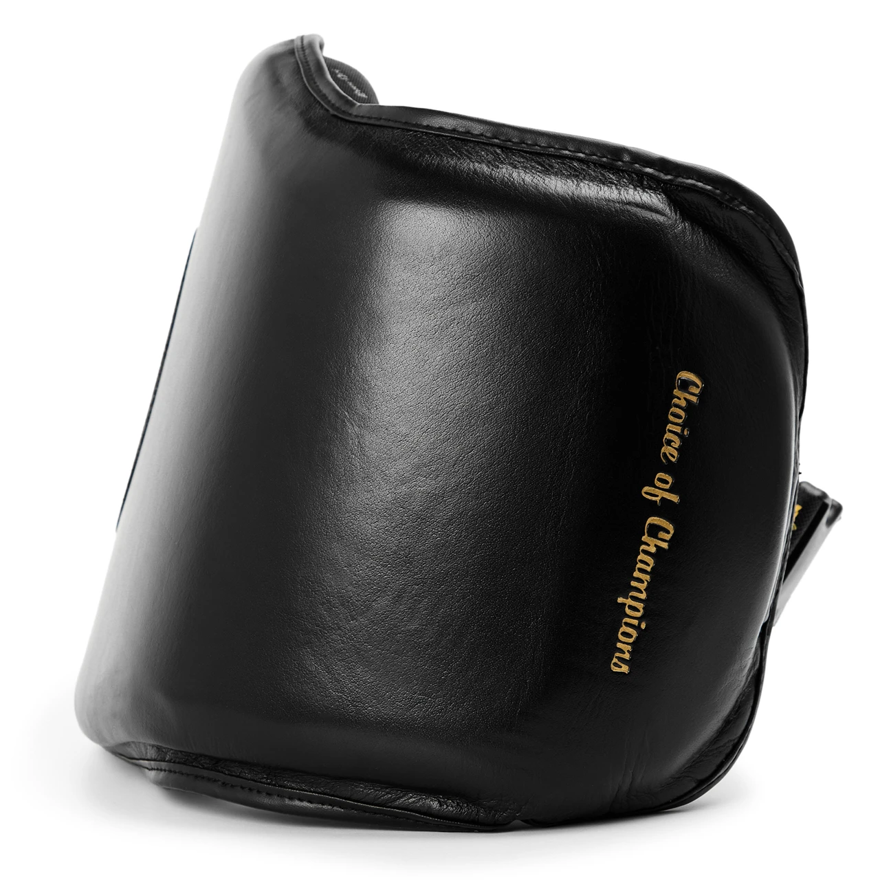Everlast 1910 Pro Leather Mini Body Protector
