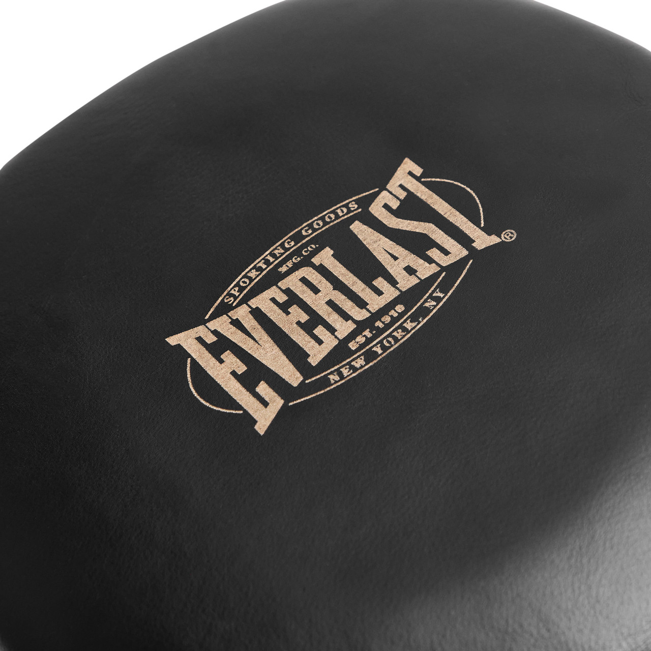 Everlast 1910 Pro Leather Air Core Focus Mitts - Black