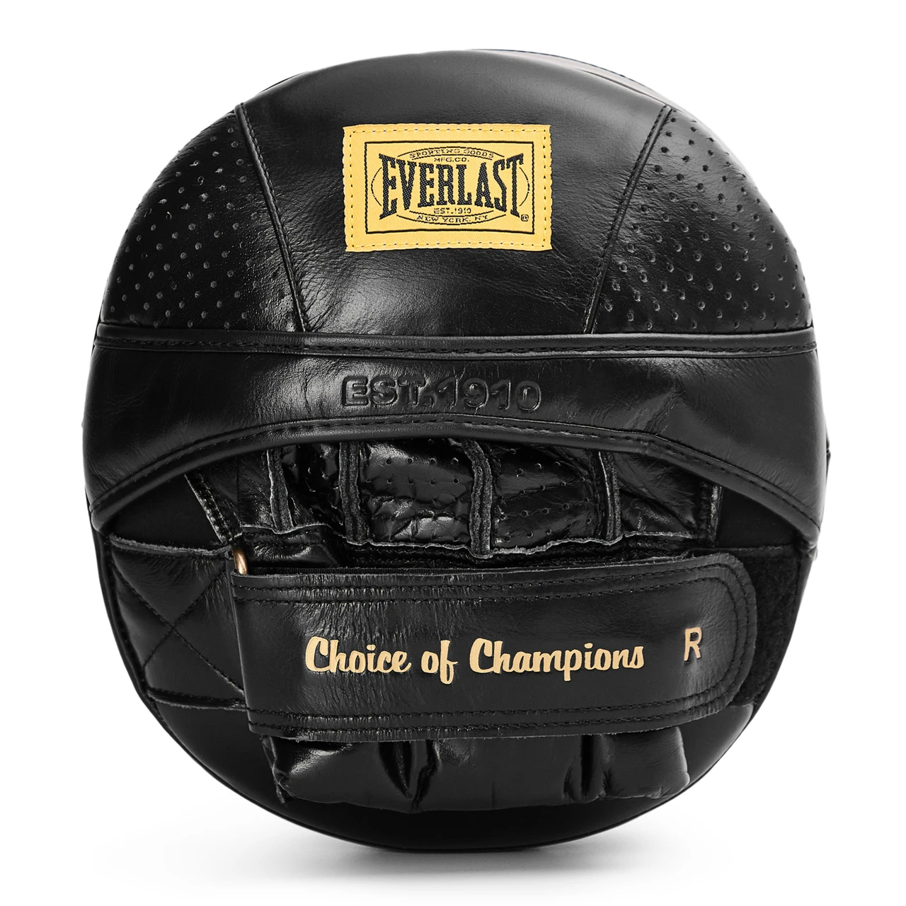 Everlast 1910 Pro Leather Air Core Focus Mitts - Brown