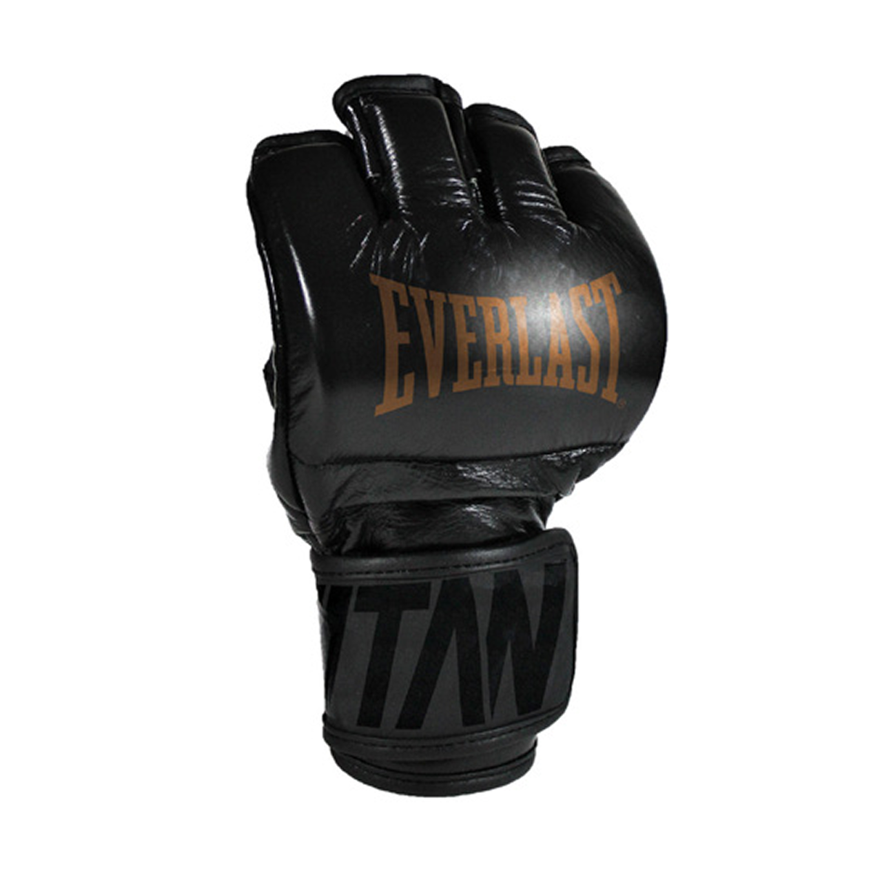 Everlast Titan Pro MMA Glove - Black