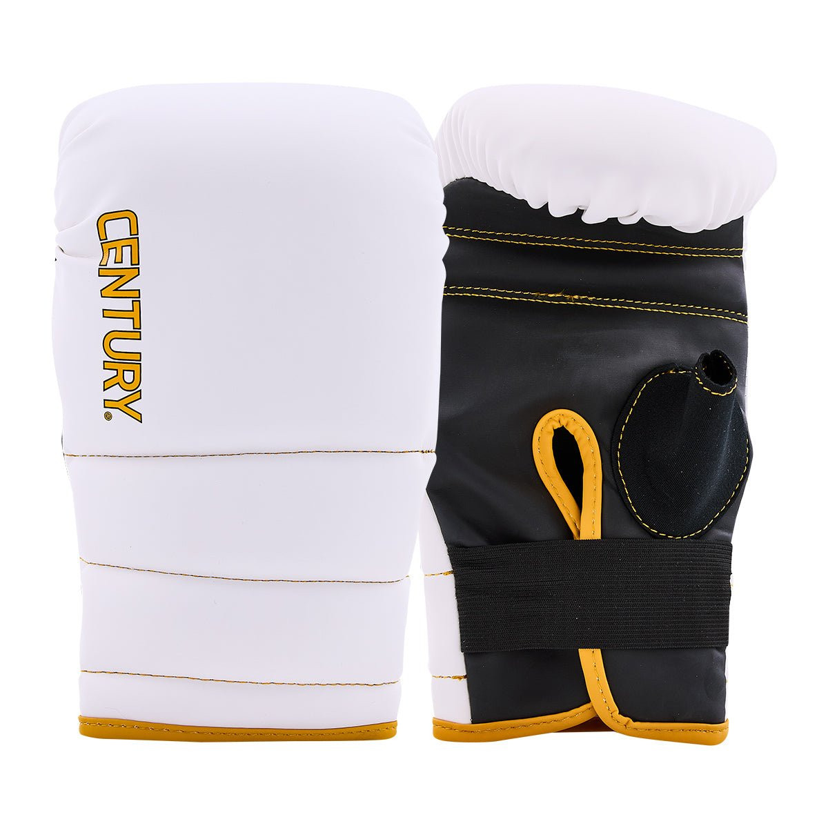Century Partner Training Combo