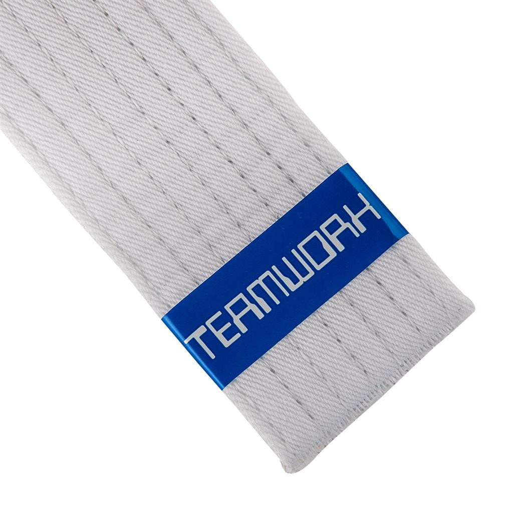 Century Achievement Belt Tape - Teamwork