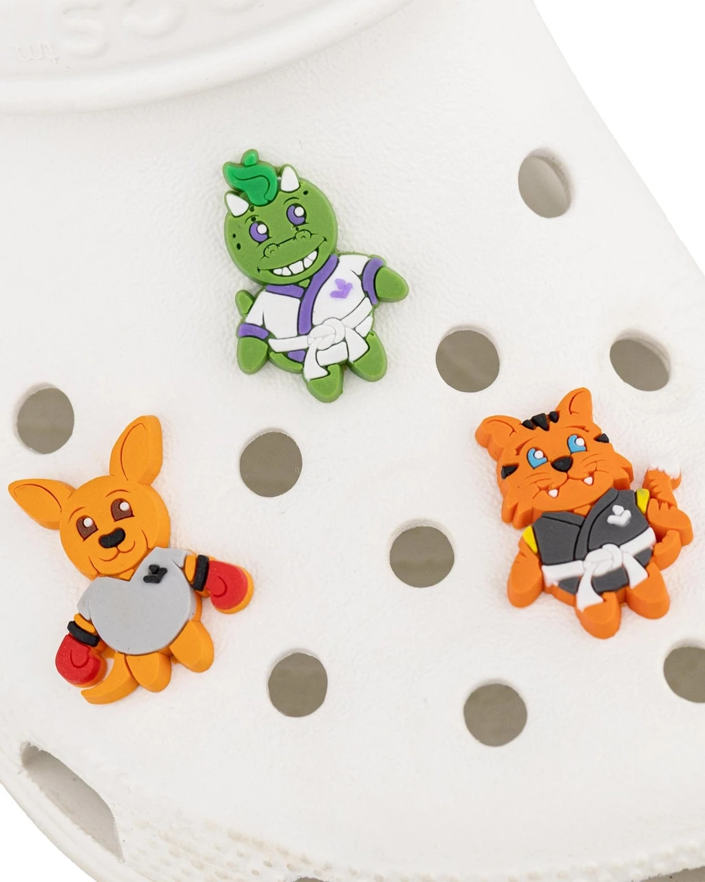 Century Lil' Dragon and Friends Shoe Charm 3 Pack