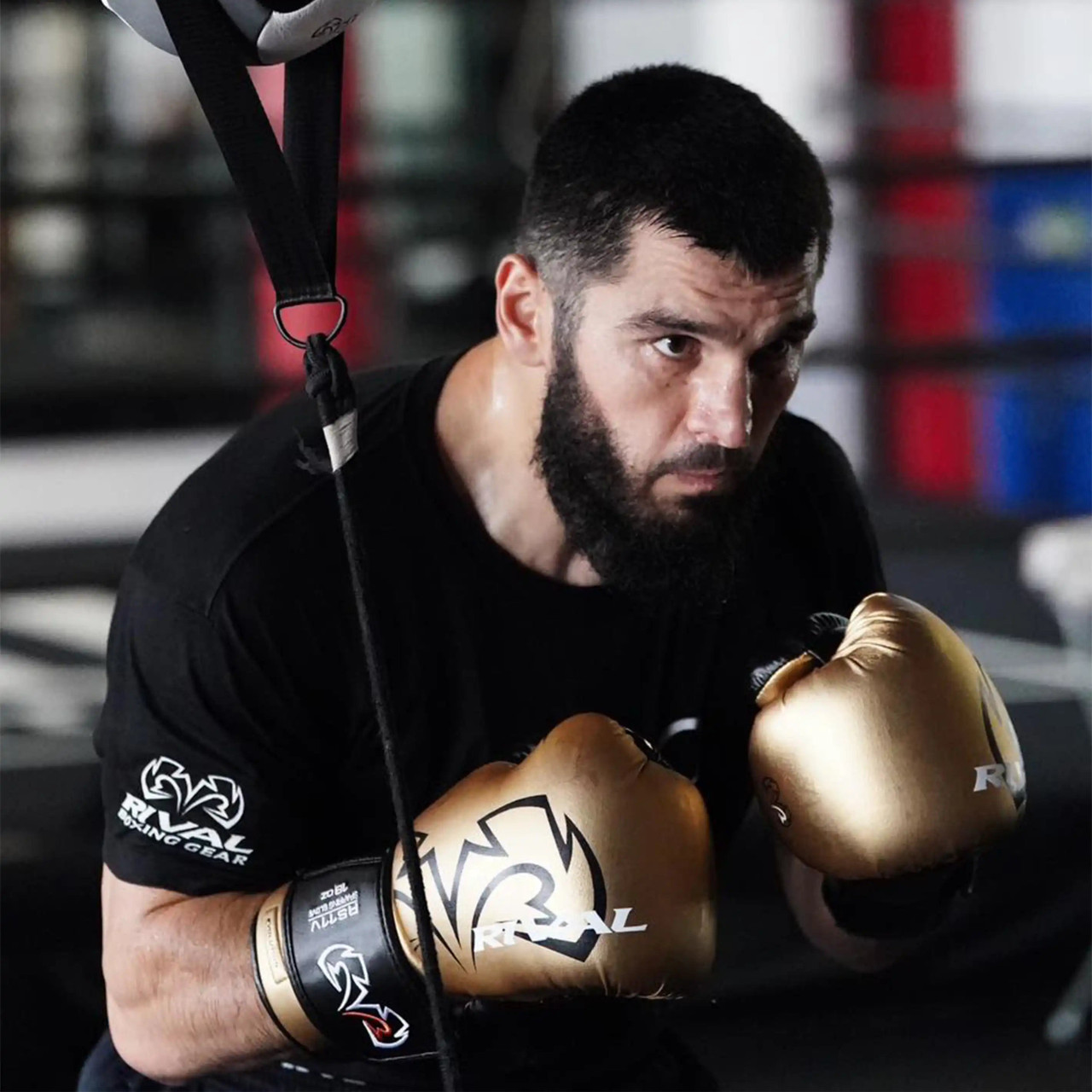 RS11V Evolution Sparring Gloves