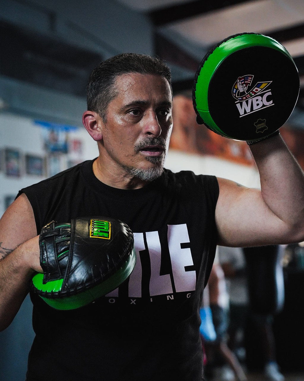 WBC by TITLE Boxing Micro Mitts