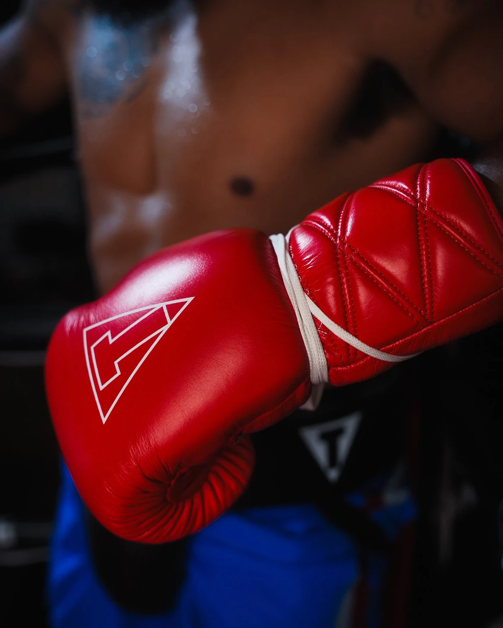 TITLE Boxing Momentum Pro Sparring Gloves
