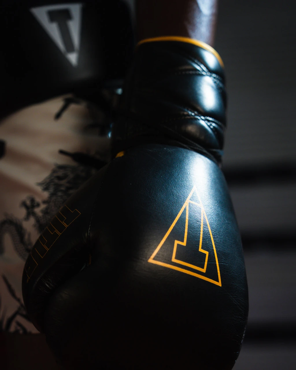 TITLE Boxing Momentum Pro Sparring Gloves