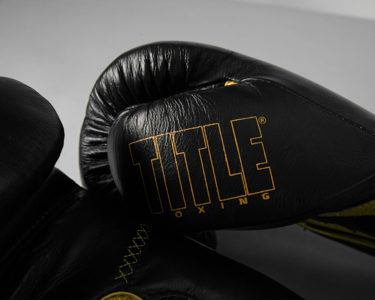 TITLE Boxing Momentum Pro Training Gloves