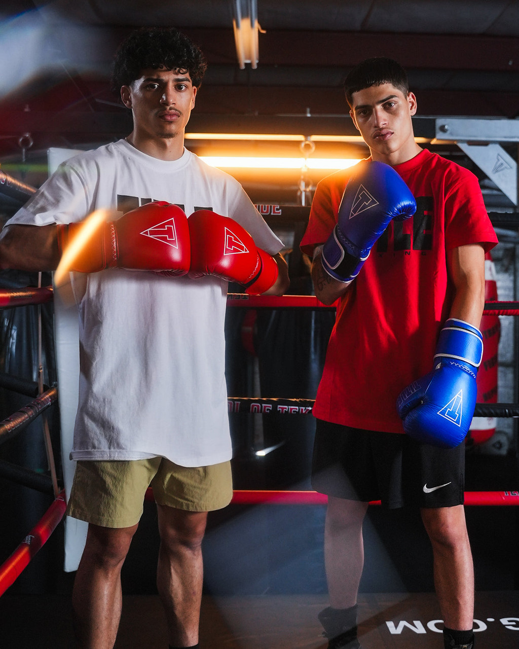 TITLE Boxing Momentum Pro Training Gloves