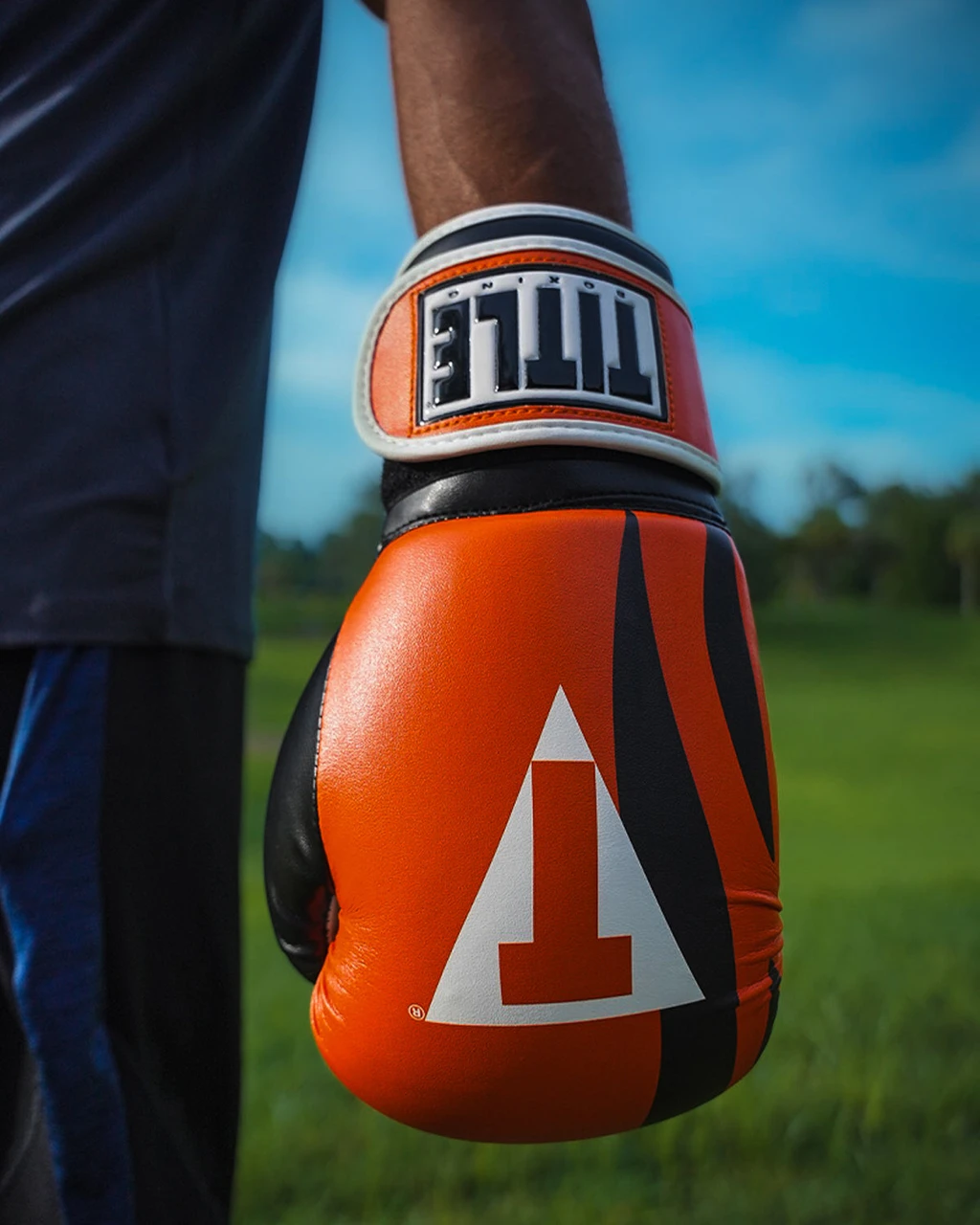 TITLE Boxing World Bag Boxing Gloves