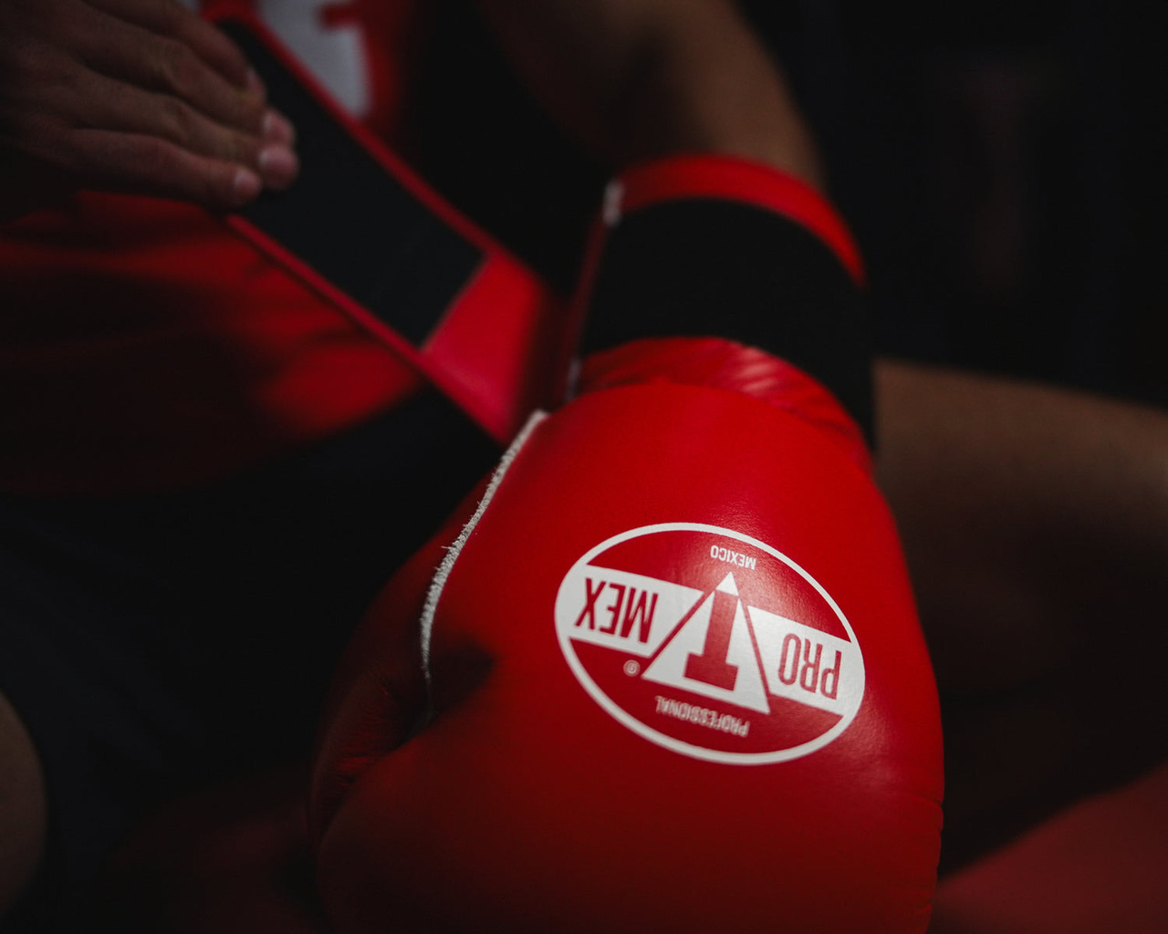 Pro Mex Professional Edge Training Boxing Gloves