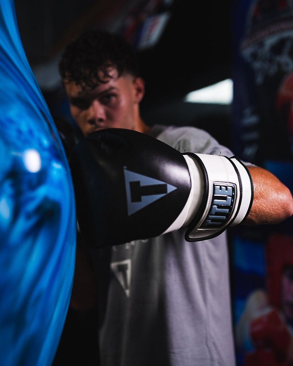 TITLE Boxing Swift Bag Boxing Gloves