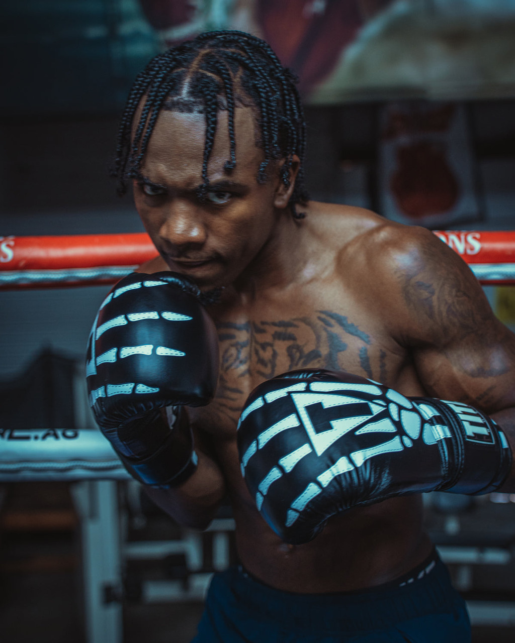 TITLE Boxing Skeleton Hand Bag Boxing Gloves