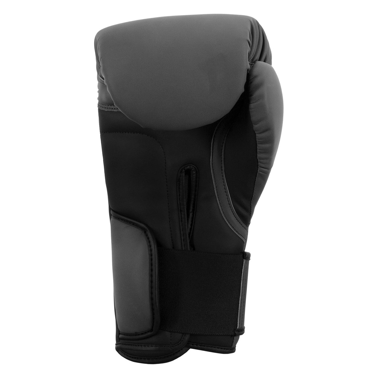 TITLE Boxing Combat Bag Boxing Gloves 2.0