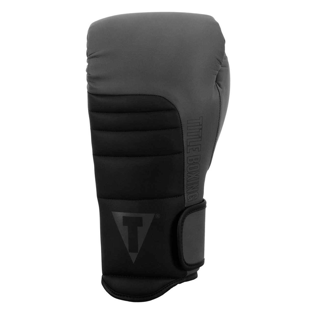 TITLE Boxing Combat Bag Boxing Gloves 2.0